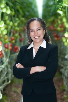 Sunset_032_v2_400x600