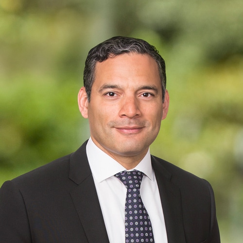 Victor Nunez White and Case