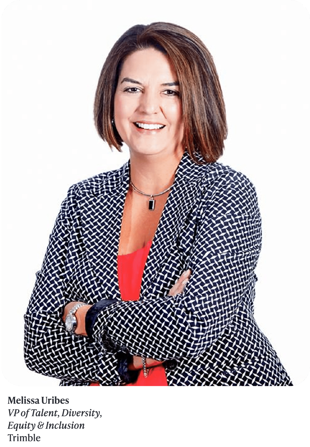 Leading Latinas 2023 - Hispanic Executive - Melissa Uribes