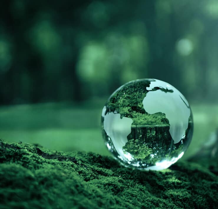 A glass sphere rendering of the Earth rests on a mossy ground