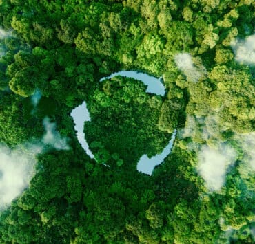 Sustainability recycle sign in a forest