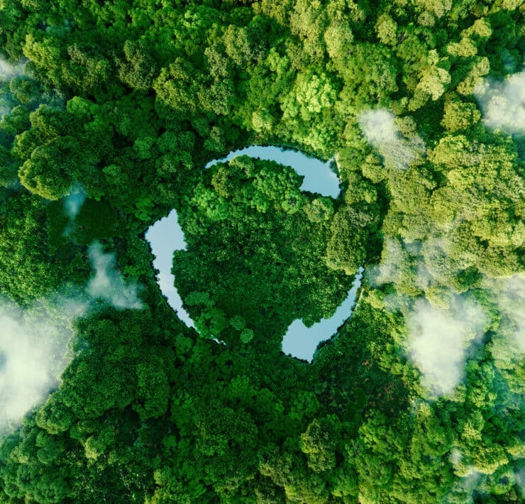 Sustainability recycle sign in a forest