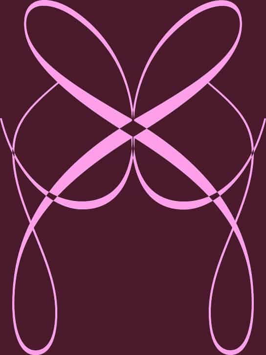 he-ll25-felida-butterfly